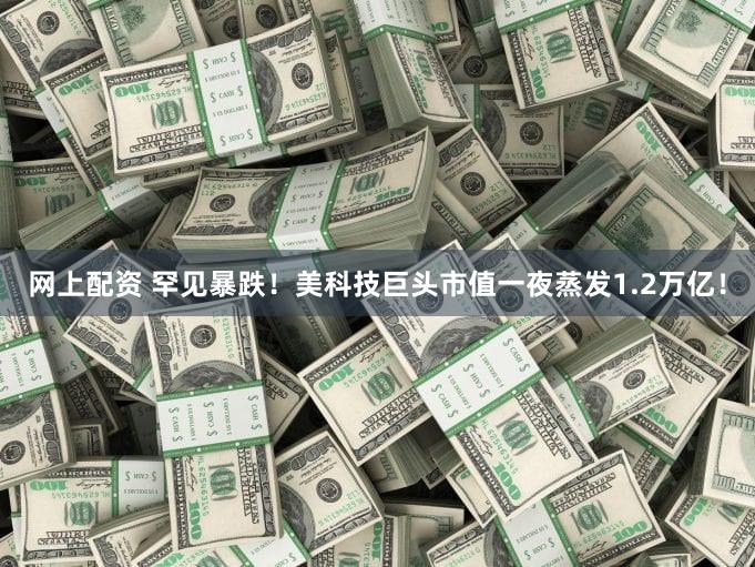 网上配资 罕见暴跌！美科技巨头市值一夜蒸发1.2万亿！