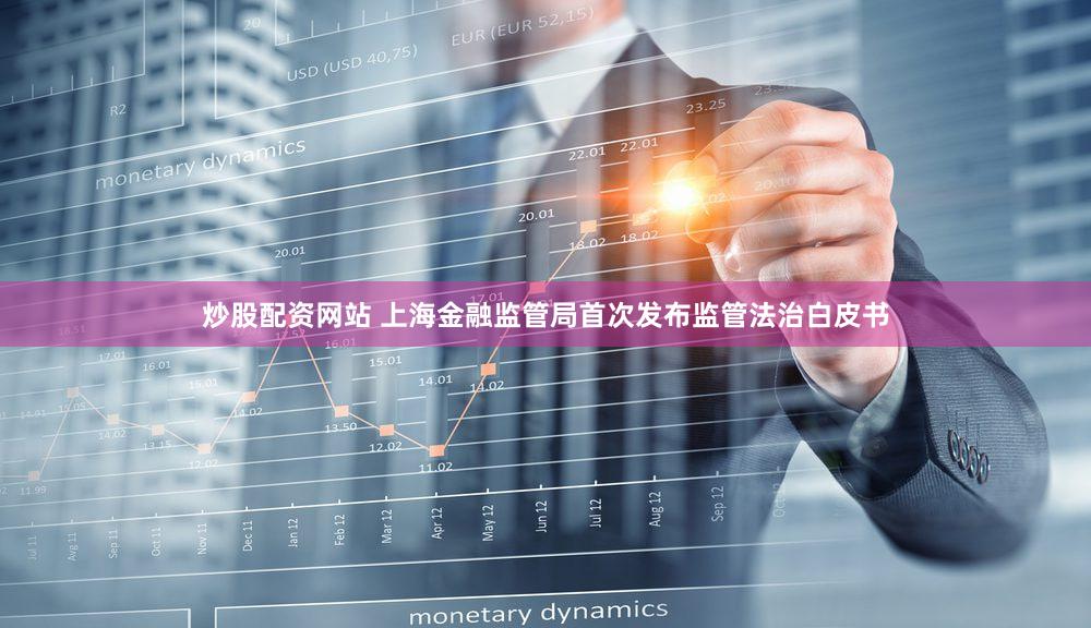 炒股配资网站 上海金融监管局首次发布监管法治白皮书