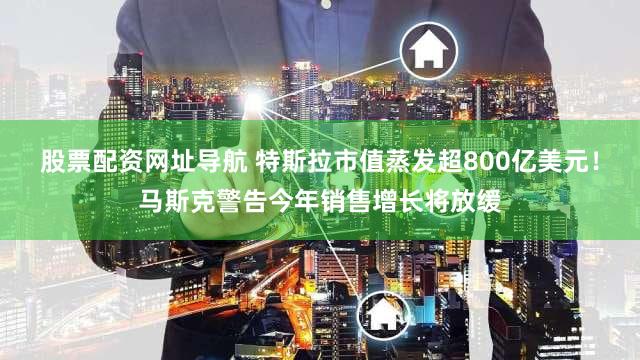 股票配资网址导航 特斯拉市值蒸发超800亿美元！马斯克警告今年销售增长将放缓
