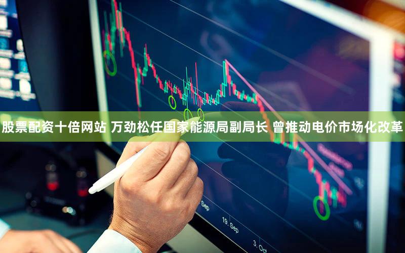 股票配资十倍网站 万劲松任国家能源局副局长 曾推动电价市场化改革