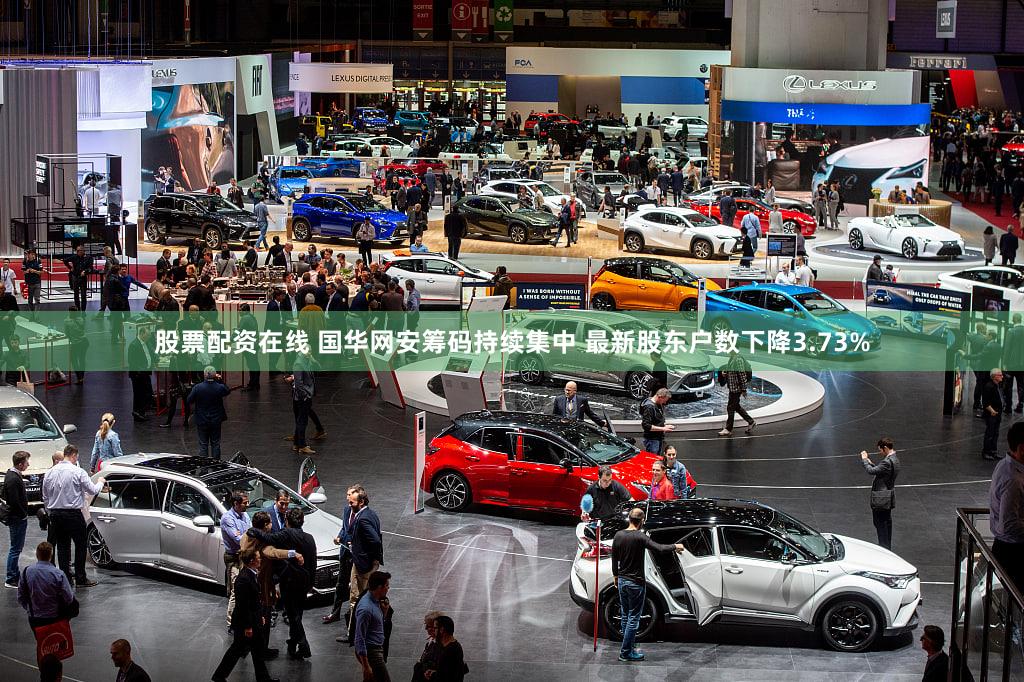 股票配资在线 国华网安筹码持续集中 最新股东户数下降3.73%