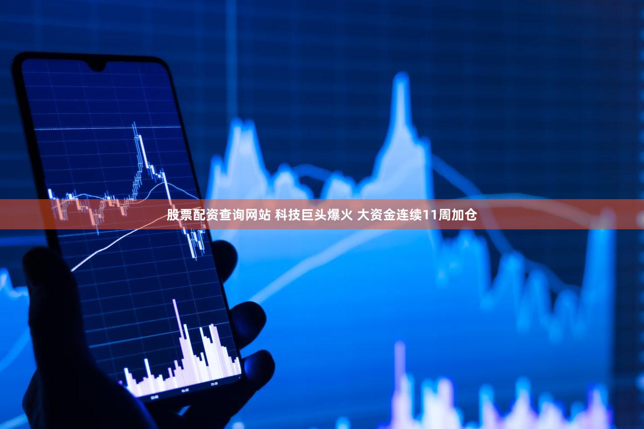 股票配资查询网站 科技巨头爆火 大资金连续11周加仓