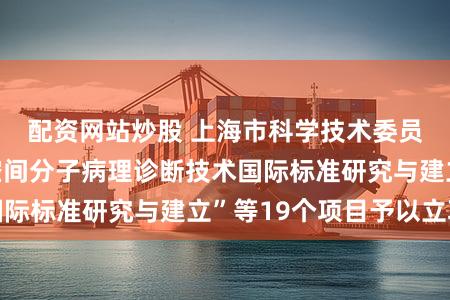 配资网站炒股 上海市科学技术委员会对“单细胞空间分子病理诊断技术国际标准研究与建立”等19个项目予以立项